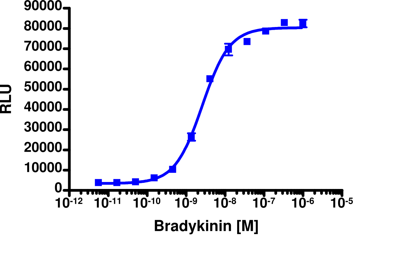 PathHunter® Human BDKRB2 Activated GPCR Internalization Cell-Based Assay Kit (U2OS)