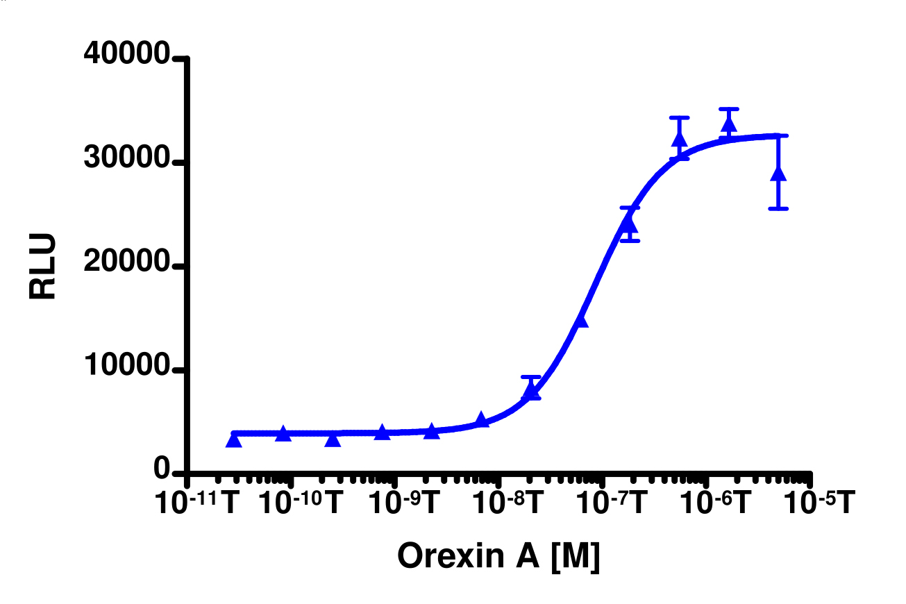 PathHunter® Human HCRTR1 Total GPCR Internalization Cell-Based Assay Kit (U2OS)