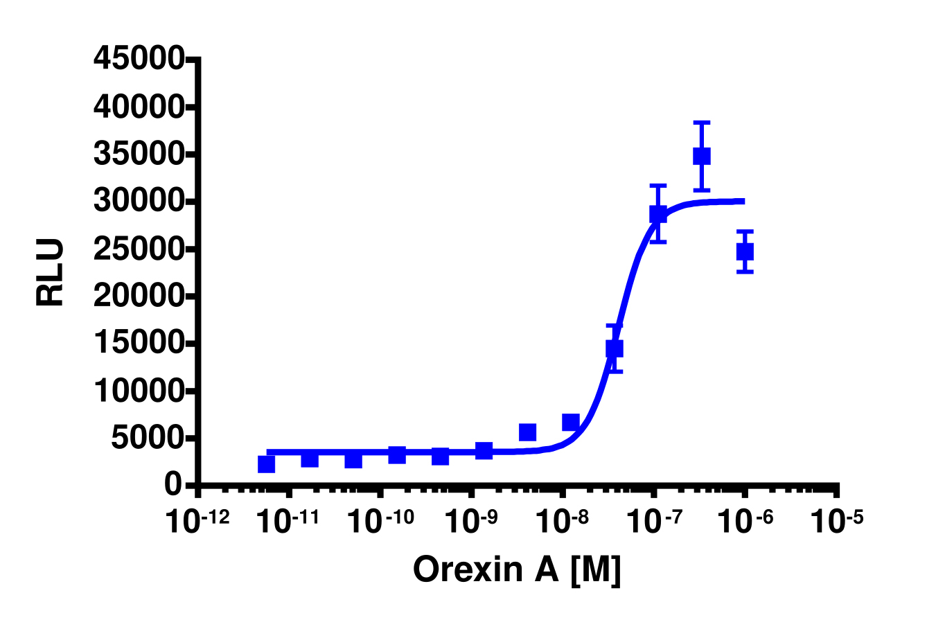 PathHunter® Human HCRTR2 Total GPCR Internalization Cell-Based Assay Kit (U2OS)