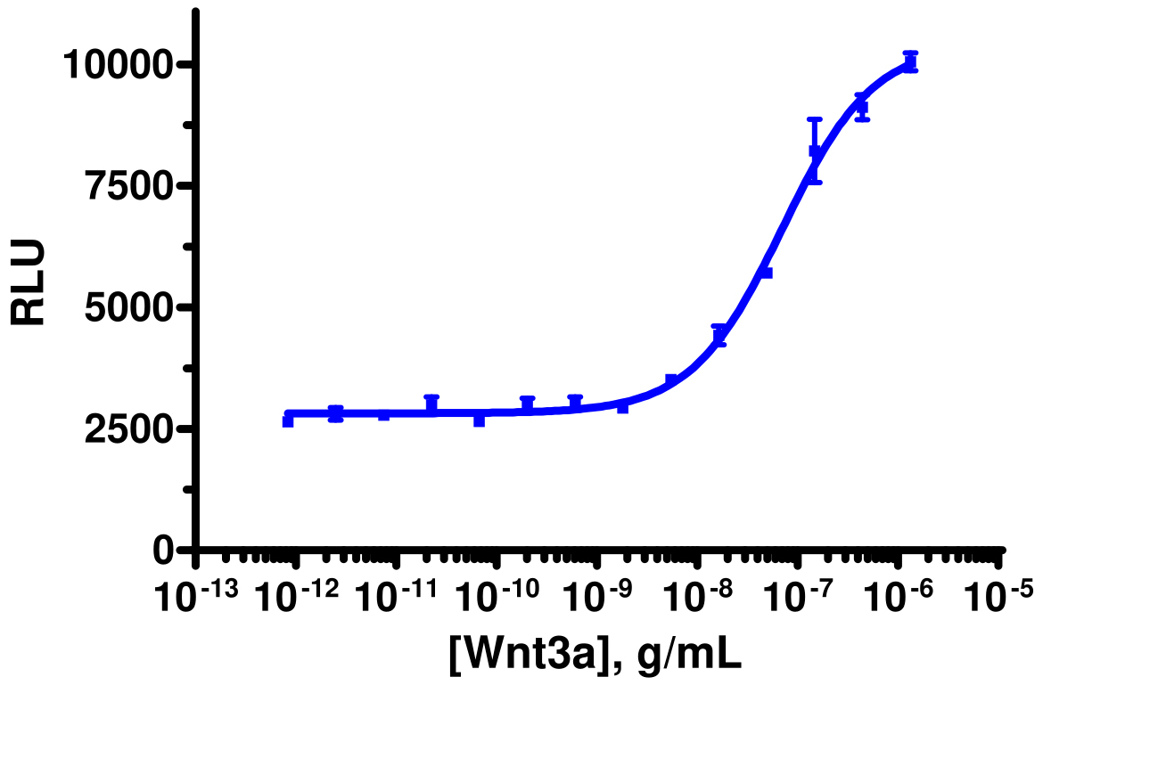 PathHunter® Human beta Catenin (CTNNB1) Nuclear Translocation Cell-Based Assay Kit (U2OS)