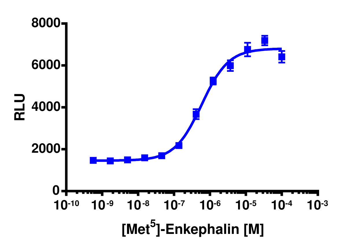 PathHunter® Human OPRM1 (Opioid mu) Stable Cell Line Total GPCR Internalization Assay (U2OS)
