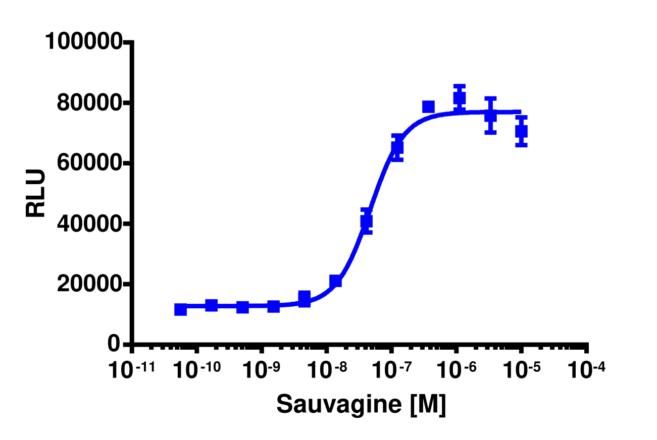 PathHunter® Human CRHR2 Activated GPCR Internalization Cell-Based Assay Kit (U2OS)