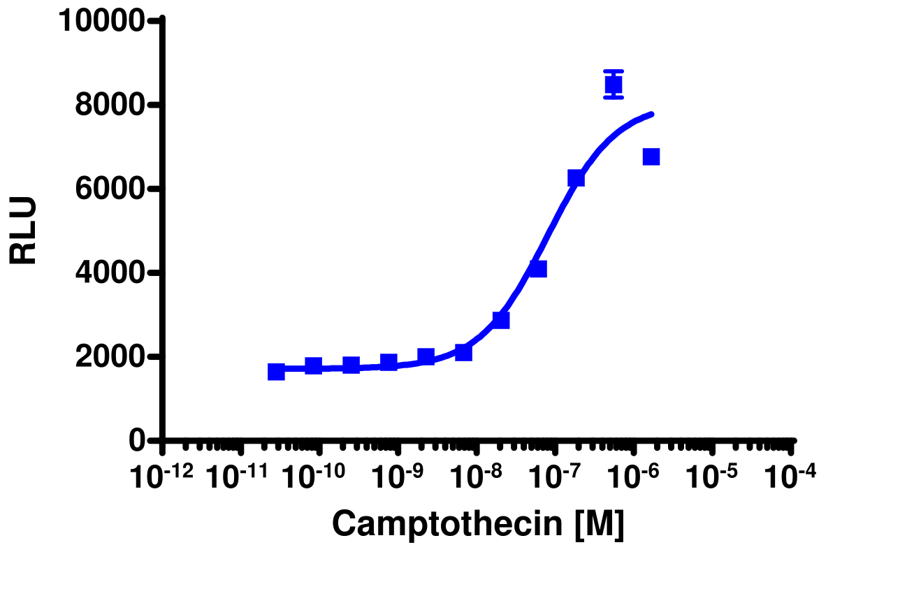 PathHunter® Human p53 (TP53) Nuclear Translocation Cell-Based Assay Kit (U2OS)