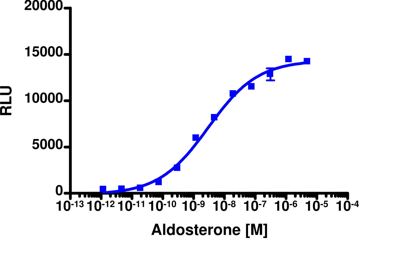 PathHunter® Human MR Nuclear Receptor Protein Interaction Cell-Based Assay Kit (CHO-K1)