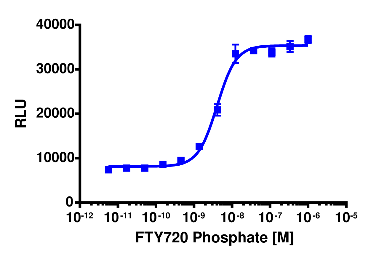 PathHunter® Human S1P1 (EDG1) Total GPCR Internalization Cell-Based Assay Kit (HEK 293)