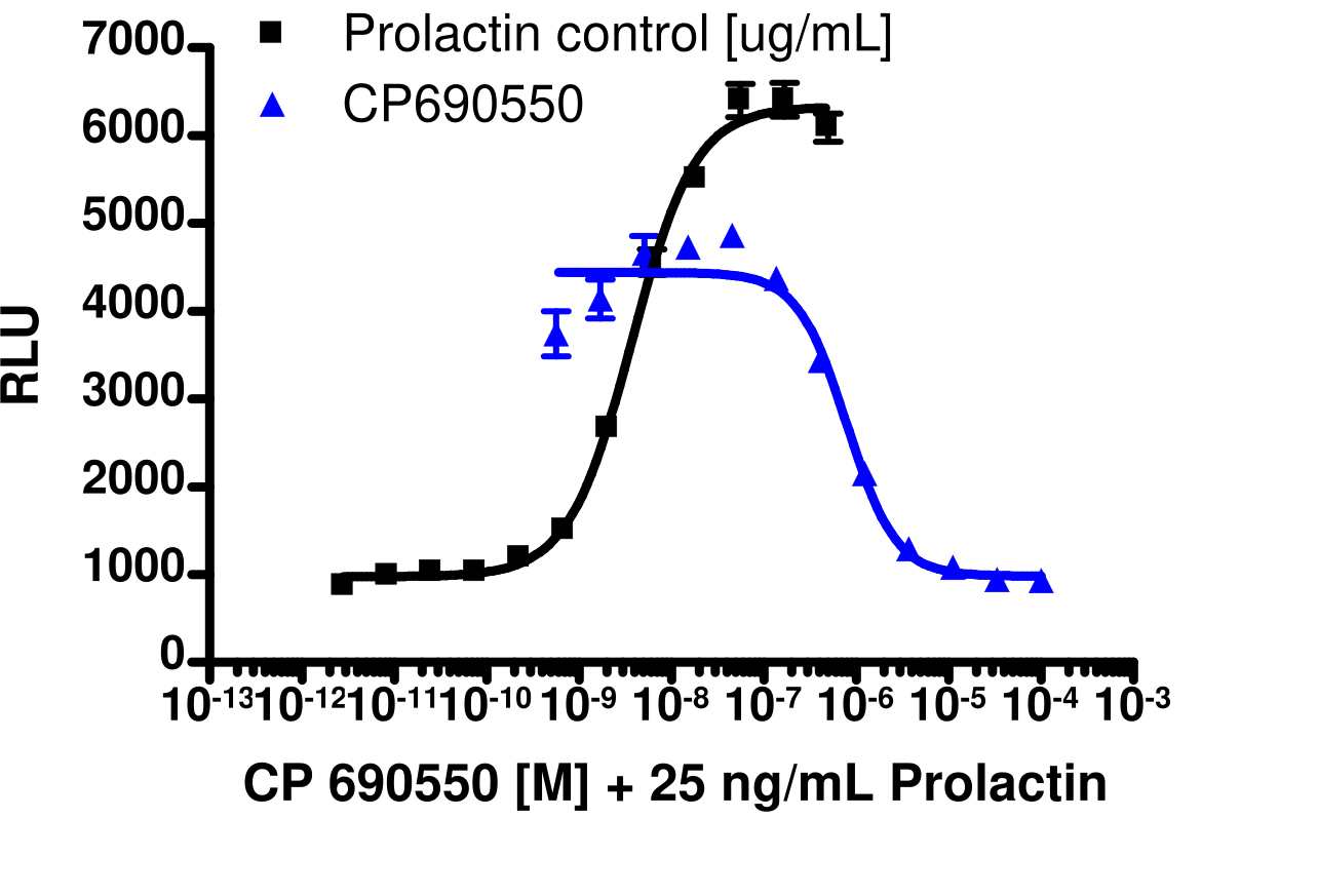 PathHunter® Human JAK3 Stable Cell Line Kinase Activity Assay (U2OS)