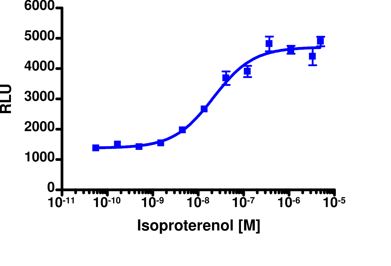 PathHunter® Human ADRB2 Total GPCR Internalization Cell-Based Assay Kit (HEK 293)