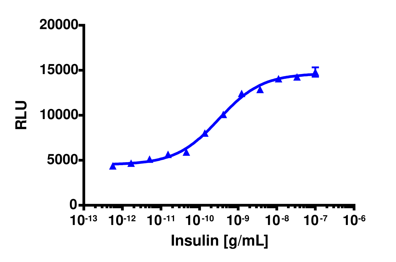 PathHunter® Human Insulin Receptor B (INSRb) Stable Cell Line Internalization Assay (U2OS)