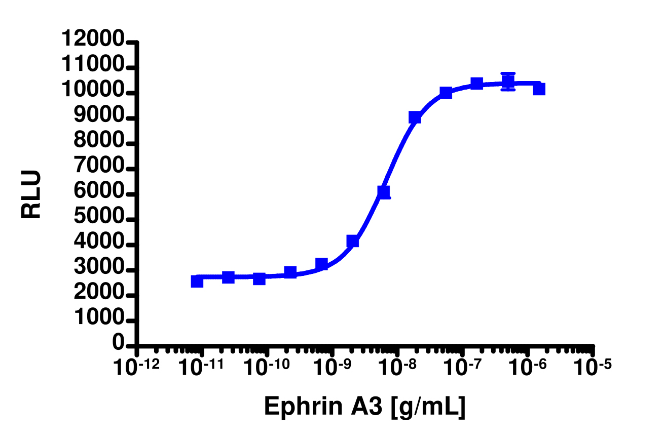 PathHunter® Human EphA7 Functional Kinase Cell-Based Assay Kit (U2OS)