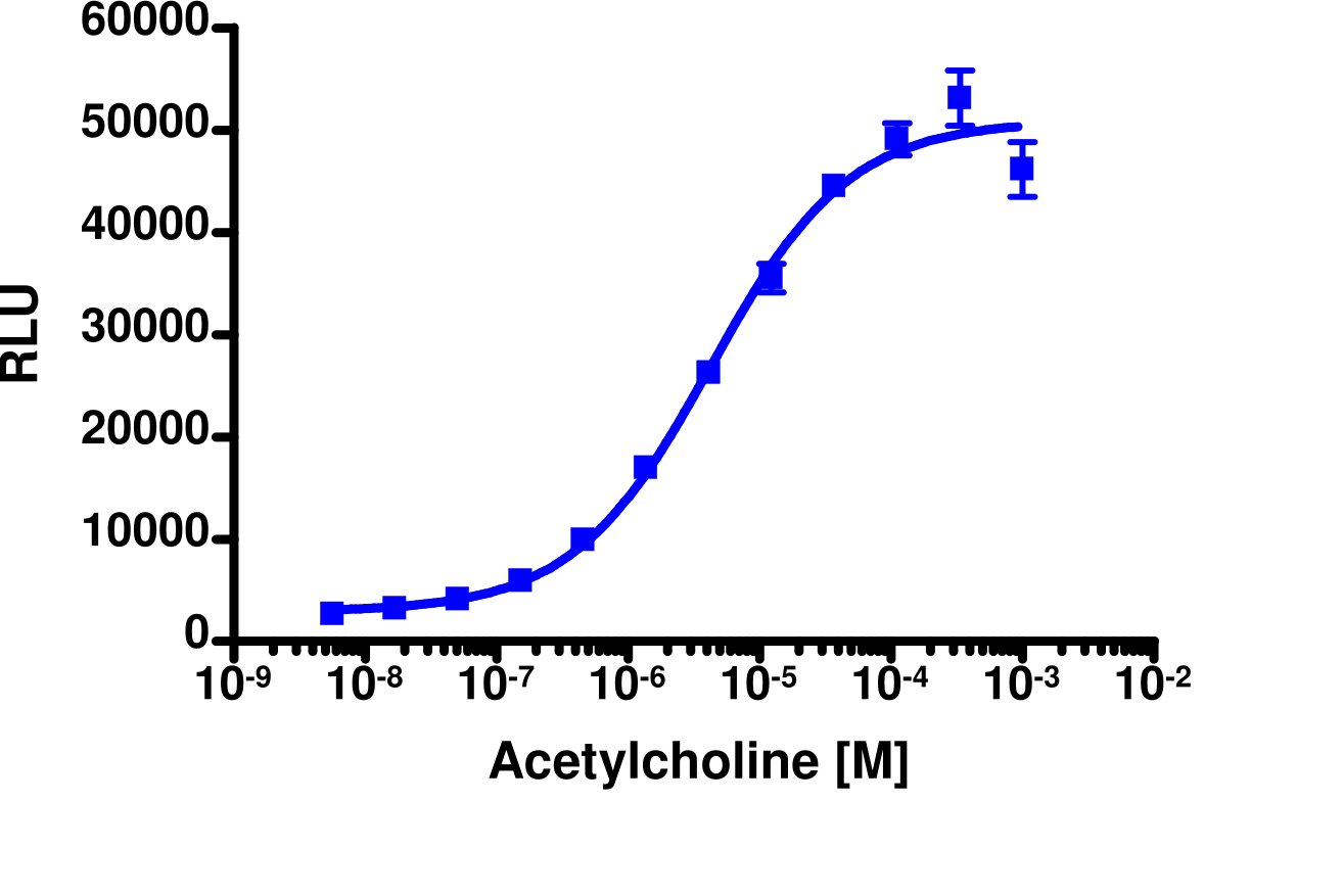 PathHunter® Human CHRM3 β-Arrestin Stable Cell Line Assay (U2OS)