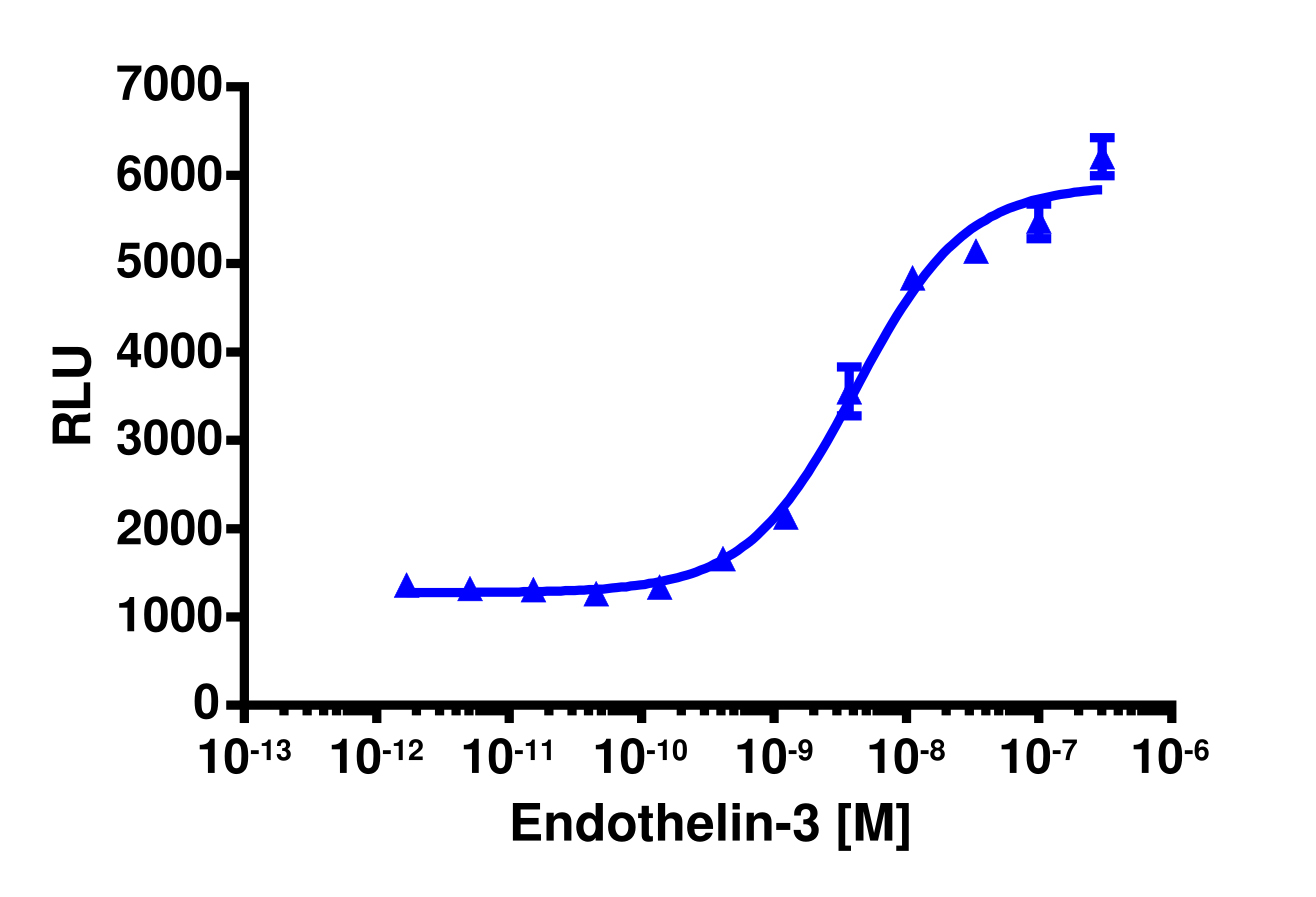 PathHunter® Human EDNRB Total GPCR Internalization Cell-Based Assay Kit (U2OS)