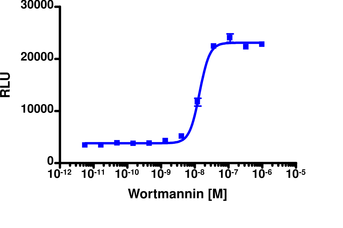 PathHunter® Human FOXO3 Nuclear Translocation Cell-Based Assay Kit (U2OS)