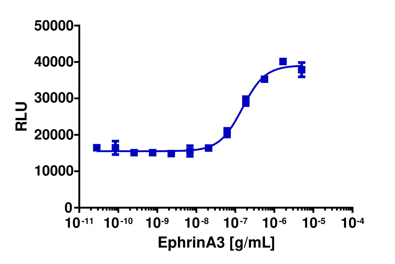 PathHunter® Human EphA4 Functional Kinase Cell-Based Assay Kit (U2OS)