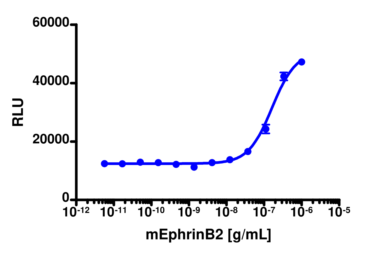 PathHunter® Human EphB1 Functional Kinase Cell-Based Assay Kit (U2OS)