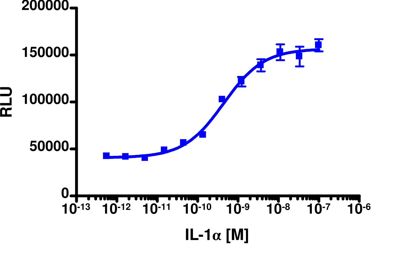 PathHunter® Human NF-kB (RELA)-IkB Nuclear Translocation Cell-Based Assay Kit (HEK 293)
