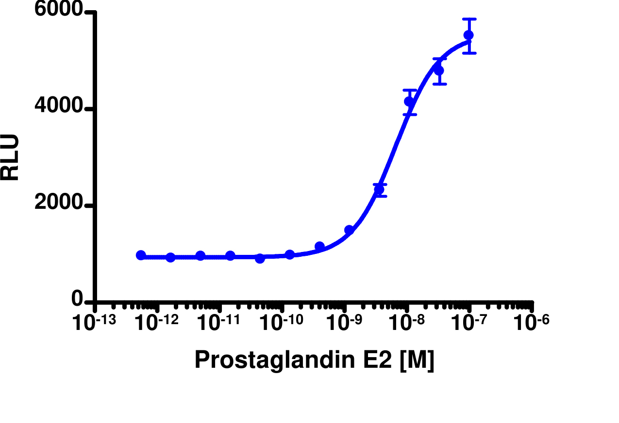 PathHunter® Human PTGER4 β-Arrestin Cell-Based Assay Kit (BHK-21)