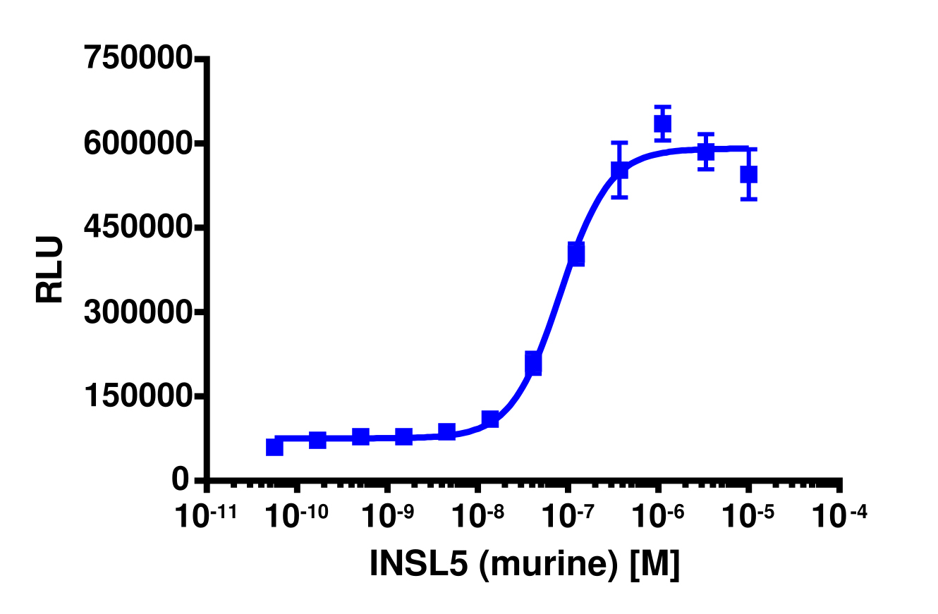 PathHunter® Mouse RXFP4 β-Arrestin Stable Cell Line Assay (CHO-K1)