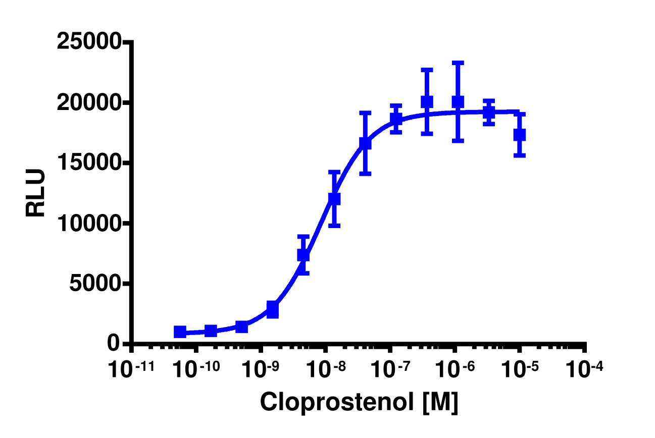 PathHunter® Human PTGFR β-Arrestin Stable Cell Line Assay (U2OS)