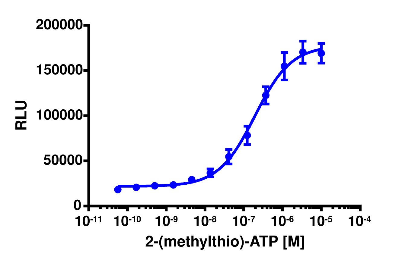 PathHunter® Human P2RY1 β-Arrestin Cell-Based Assay Kit (U2OS)