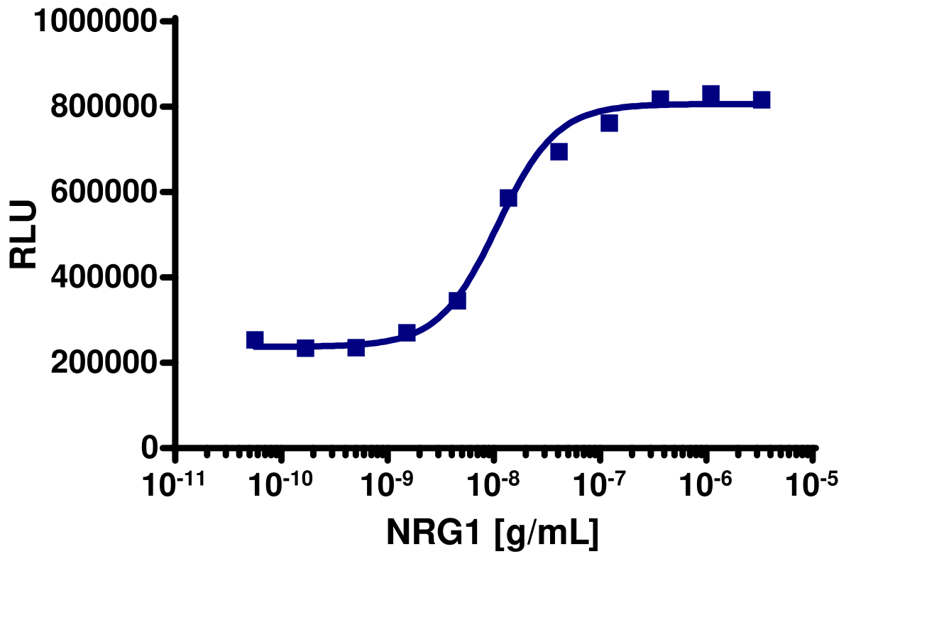 PathHunter® Human Heregulin beta 1 (ErbB2/ErbB4) Dimerization Cell-Based Assay Kit (U2OS)