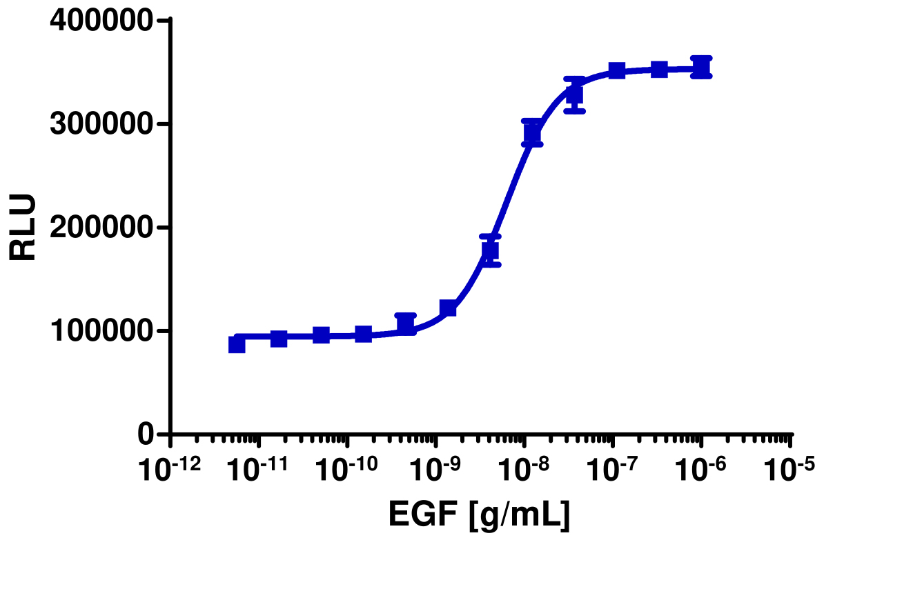 PathHunter® Human EGFR/EGFR Dimerization Stable Cell Line Assay (U2OS)