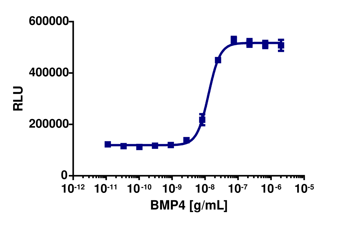 PathHunter® Human BMP-4 (BMPR1A/BMPR2) Dimerization Cell-Based Assay Kit (U2OS)