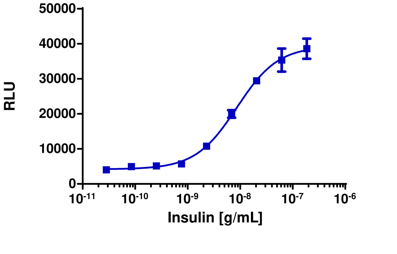 PathHunter® Human Insulin Receptor A (INSRa) Stable Cell Line Functional Kinase Assay (U2OS)