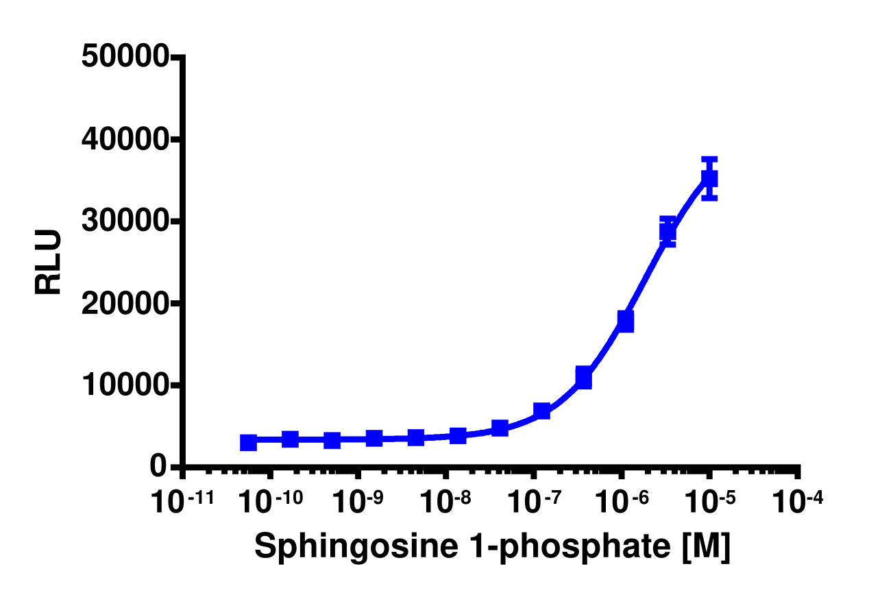 PathHunter® Mouse S1P3 (EDG3) β-Arrestin Stable Cell Line Assay (CHO-K1)