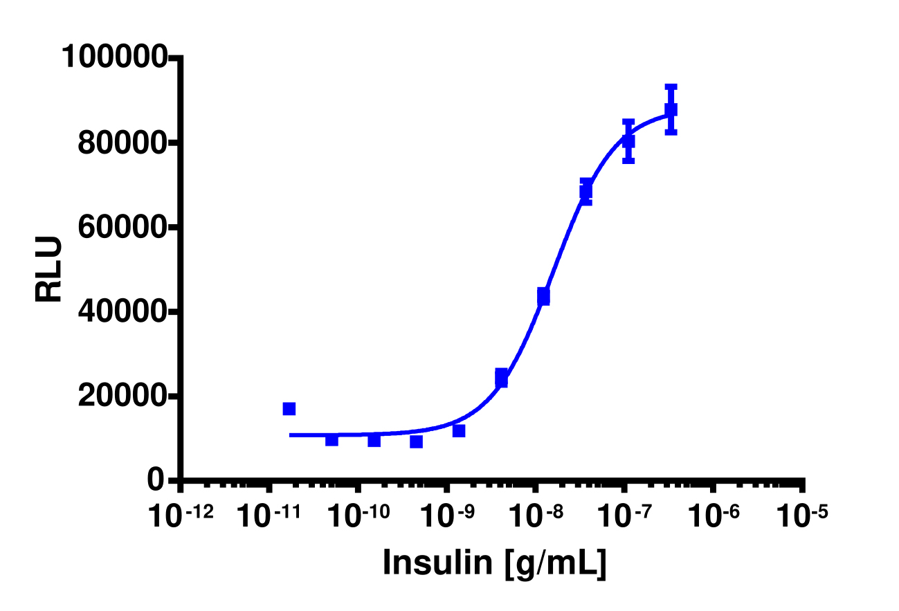 PathHunter® Cyno Insulin Receptor A (INSRa) Functional Kinase Cell-Based Assay Kit (U2OS)
