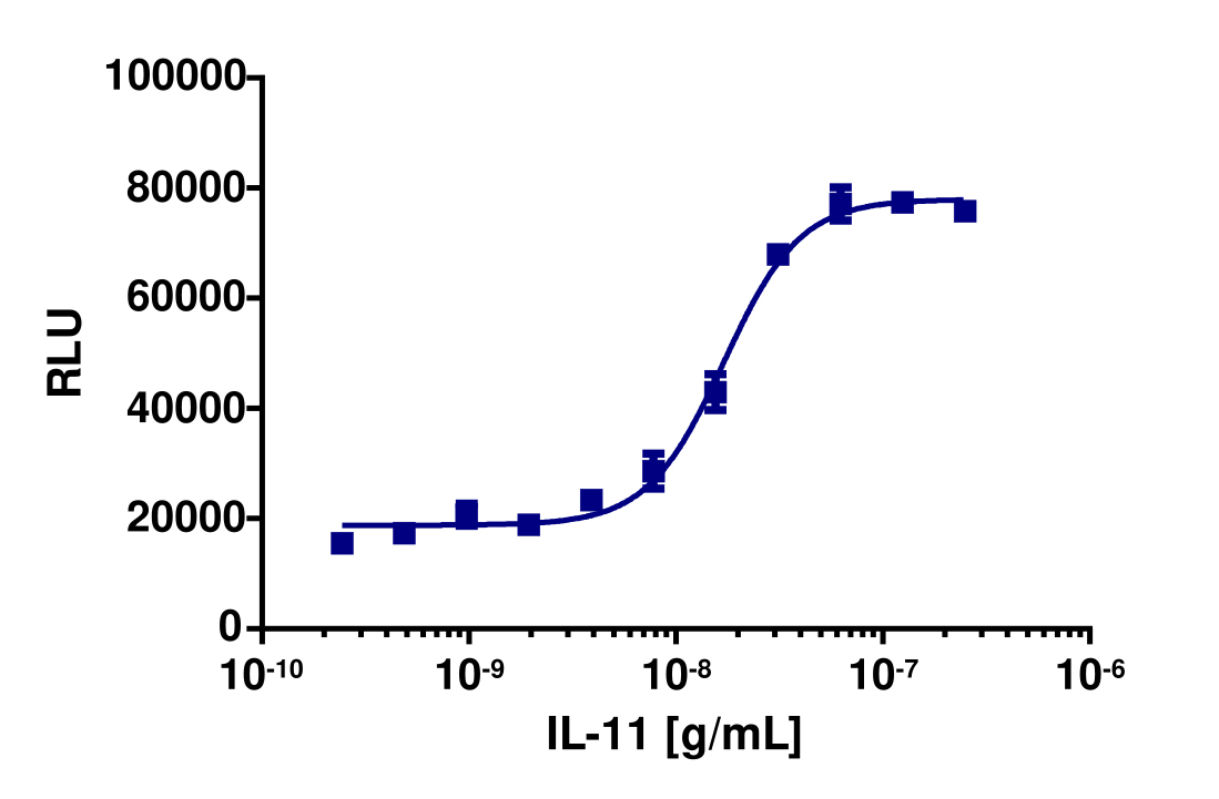 PathHunter® Human IL-11 (IL11RA/IL6ST) Dimerization Cell-Based Assay Kit (HEK 293)