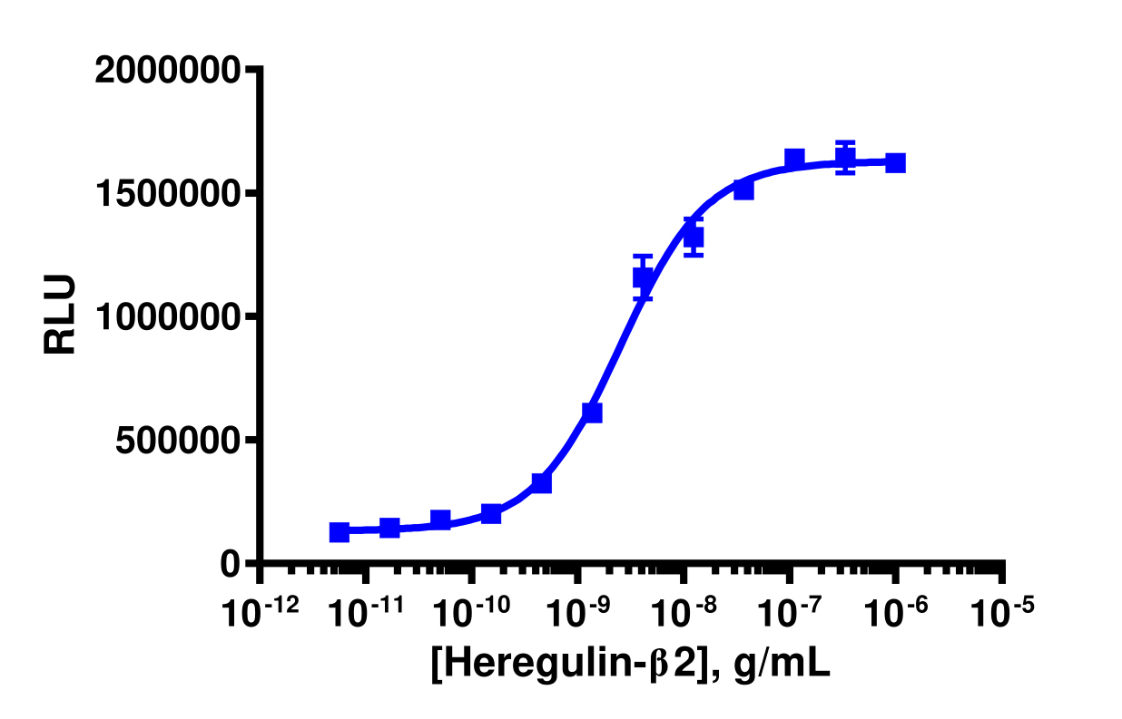 PathHunter® Human Neuregulin-1 beta 2 (ErbB2/ErbB3) Stable Cell Line Dimerization Assay (U2OS)