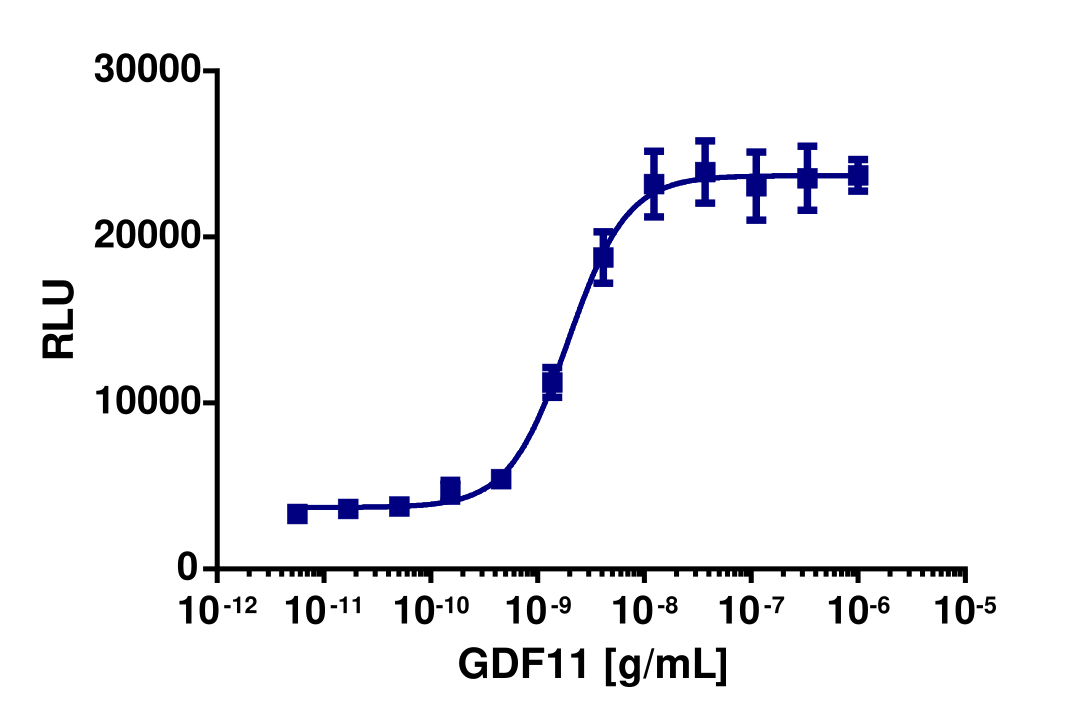 PathHunter® Human GDF-11 (TGFBR1/ACVR2B) Dimerization Cell-Based Assay Kit (U2OS)