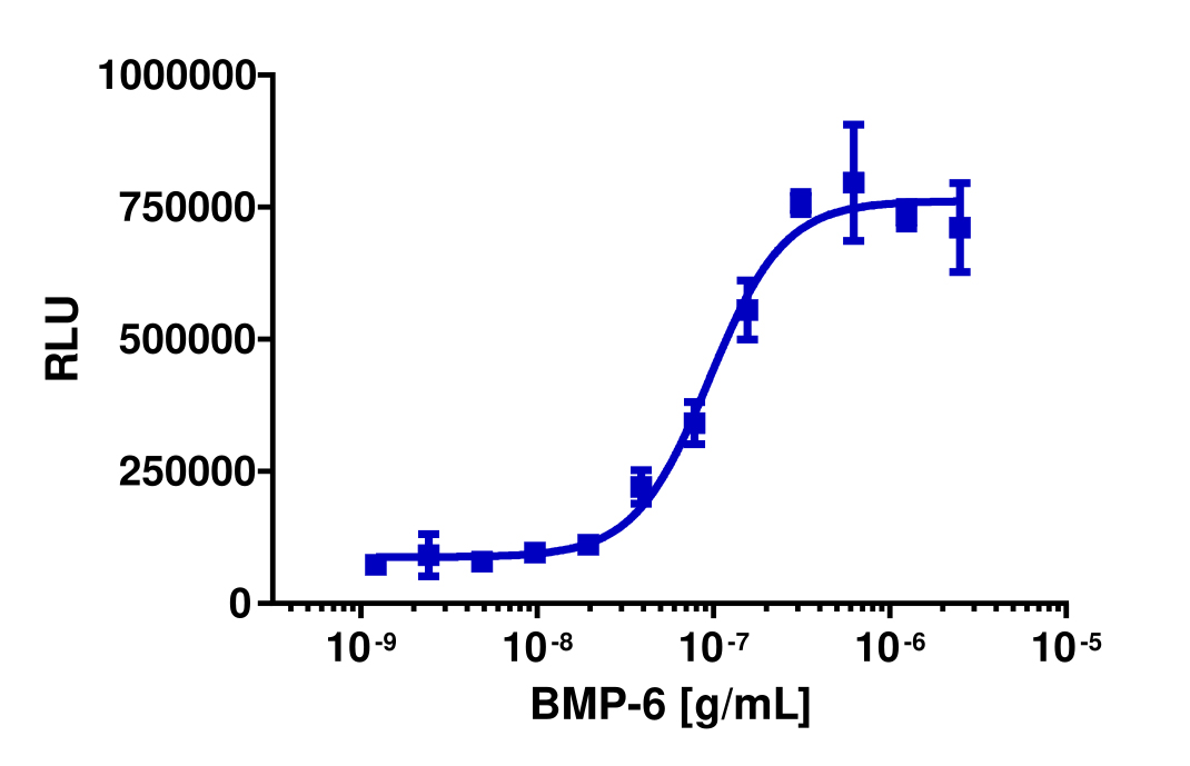 PathHunter® Human BMP-6 (BMPR1B/BMPR2) Stable Cell Line Dimerization Assay (U2OS)