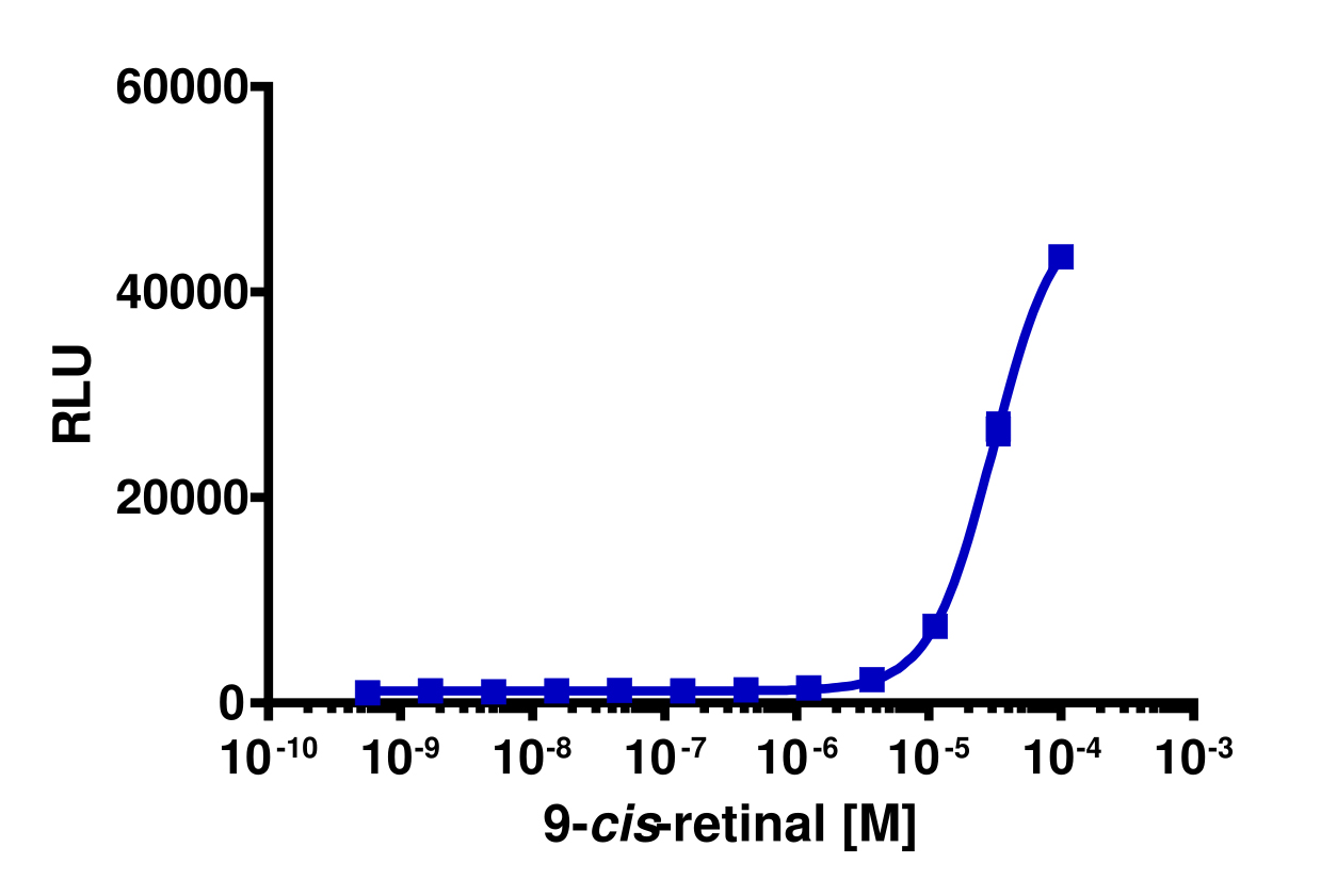 PathHunter® Mouse RHO(P23H) MEM-EA Pharmacotrafficking Cell-Based Assay Kit (U2OS)