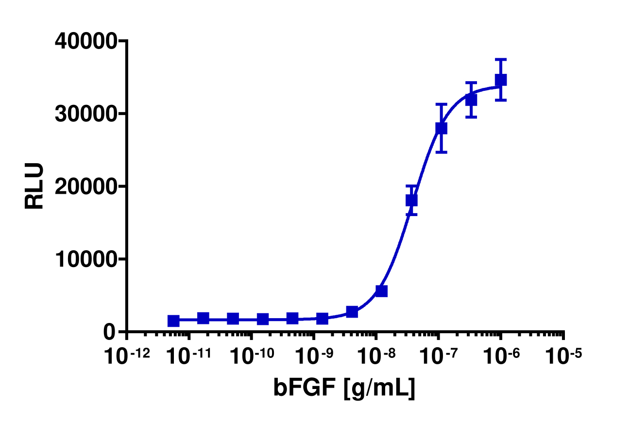 PathHunter® Human FGFR1 Functional Kinase Cell-Based Assay Kit (U2OS)