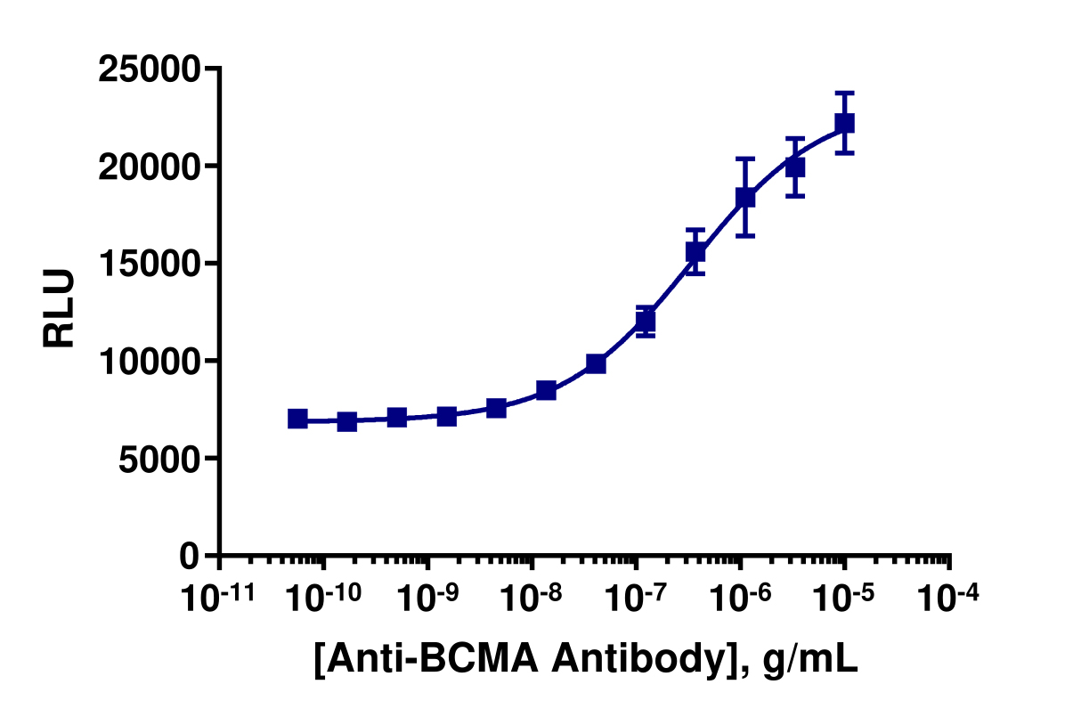 PathHunter® Human BCMA Internalization Cell-Based Assay Kit (U2OS)