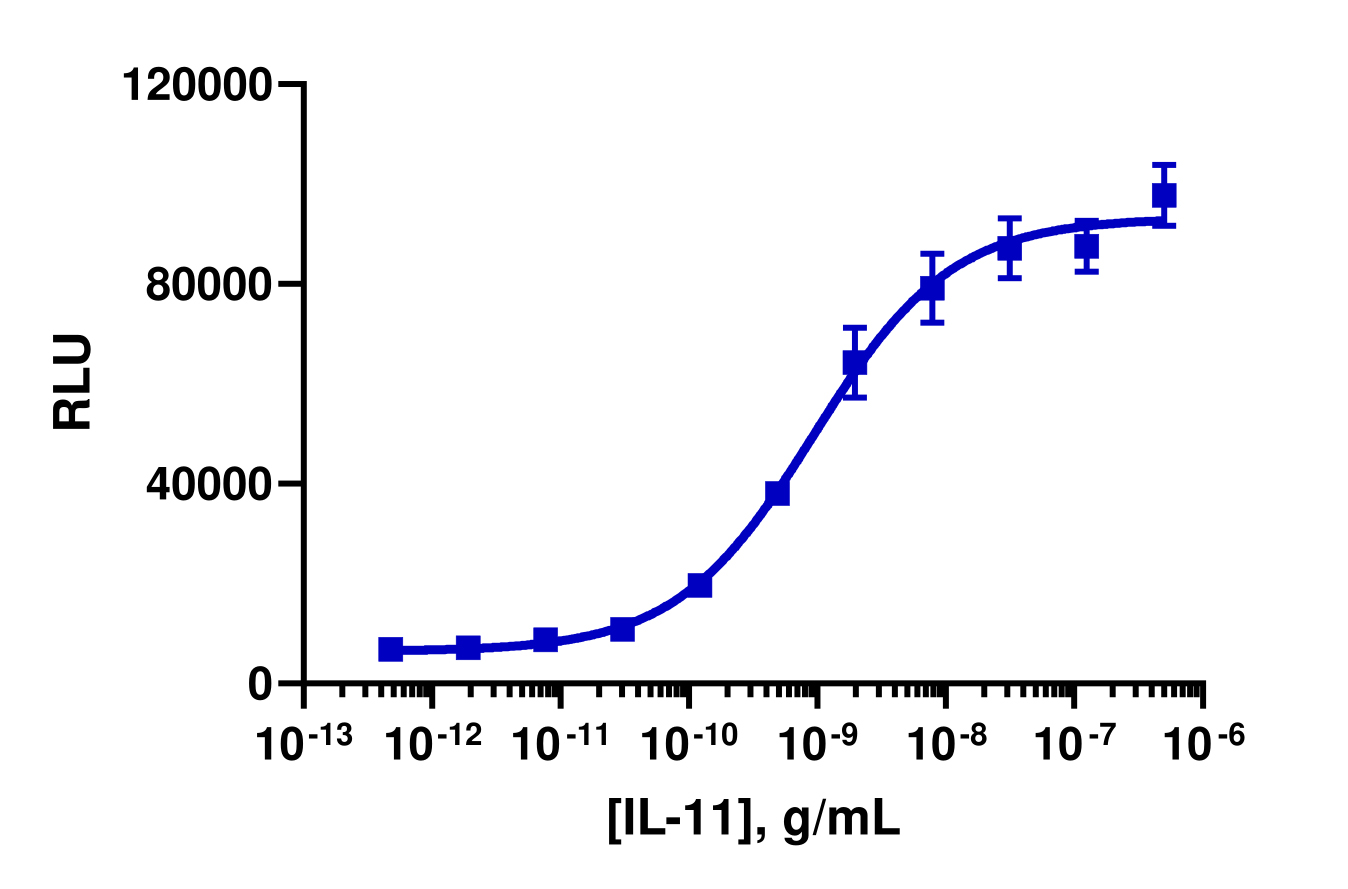 PathHunter® Human IL-11 (IL11RA) Signaling Reporter Cell-Based Assay Kit (HepG2)