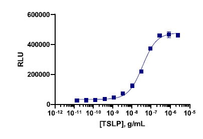 PathHunter® Human TSLP Signaling Reporter Cell-Based Assay Kit (REH)