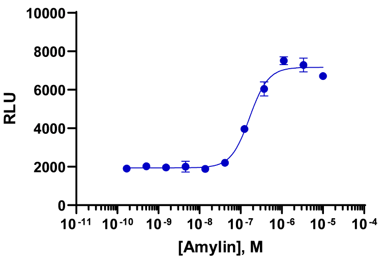 PathHunter® Human Amylin (AMY3 Receptor) β-Arrestin Cell-Based Assay Kit (CHO-K1)