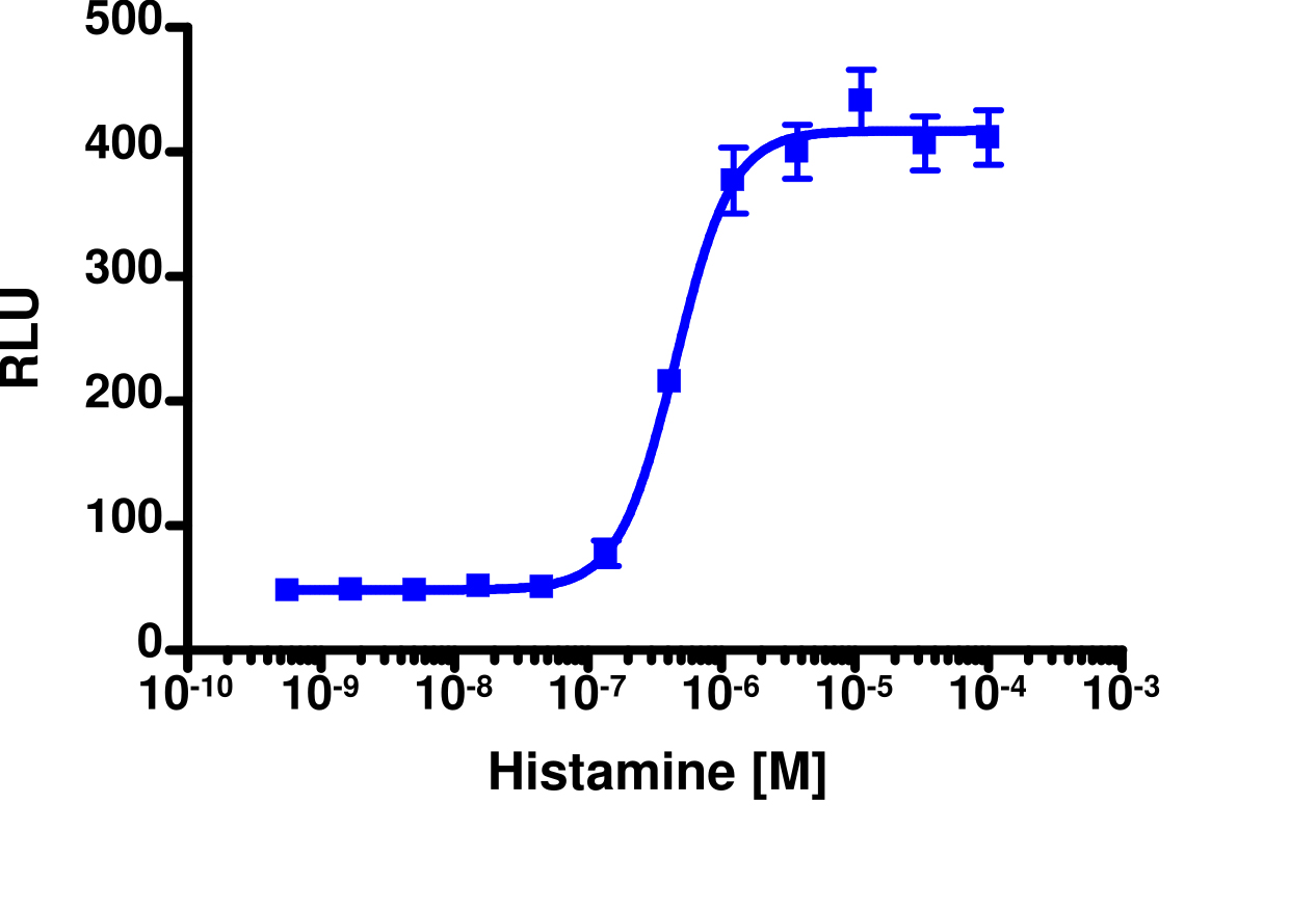 cAMP Hunter™ Human HRH2 (H2) Gs Stable Cell Line Assay (CHO-K1)