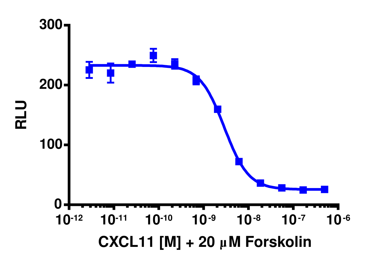 cAMP Hunter™ Human CXCL11 (CXCR3) Gi Stable Cell Line Assay (CHO-K1)