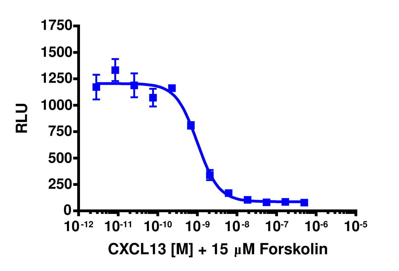 cAMP Hunter™ Human CXCL13 (CXCR5) Gi Cell-Based Assay Kit (CHO-K1)
