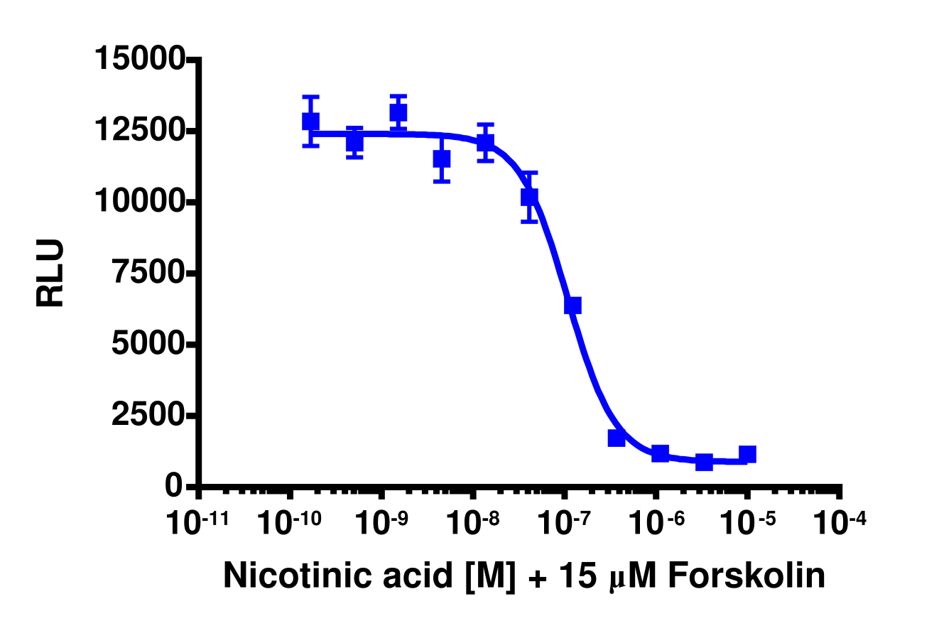 cAMP Hunter™ Human GPR109A Gi Cell-Based Assay Kit (CHO-K1)