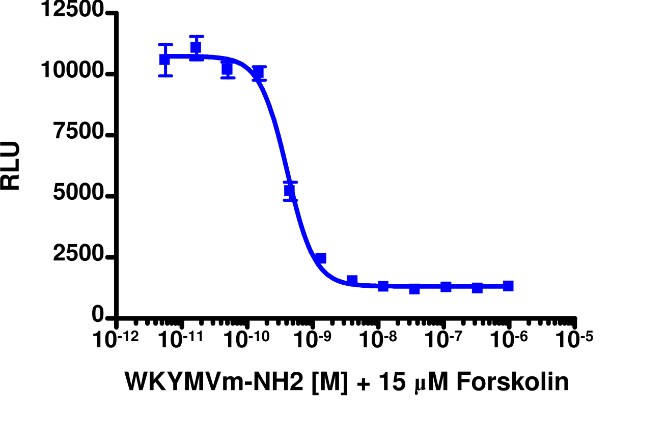 cAMP Hunter™ Human FPR1 Gi Stable Cell Line Assay (CHO-K1)