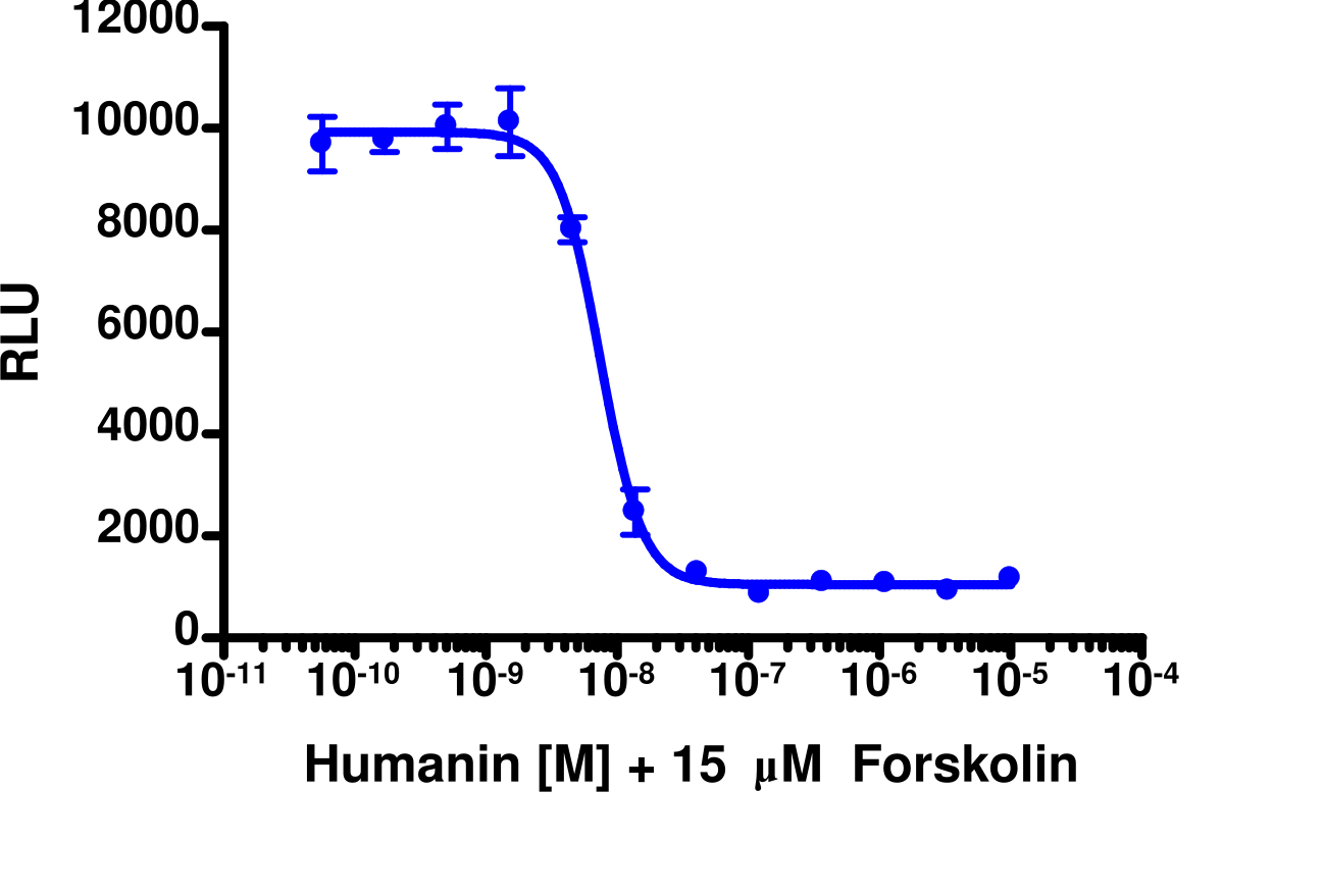 cAMP Hunter™ Human FPR3 Gi Stable Cell Line Assay (CHO-K1)