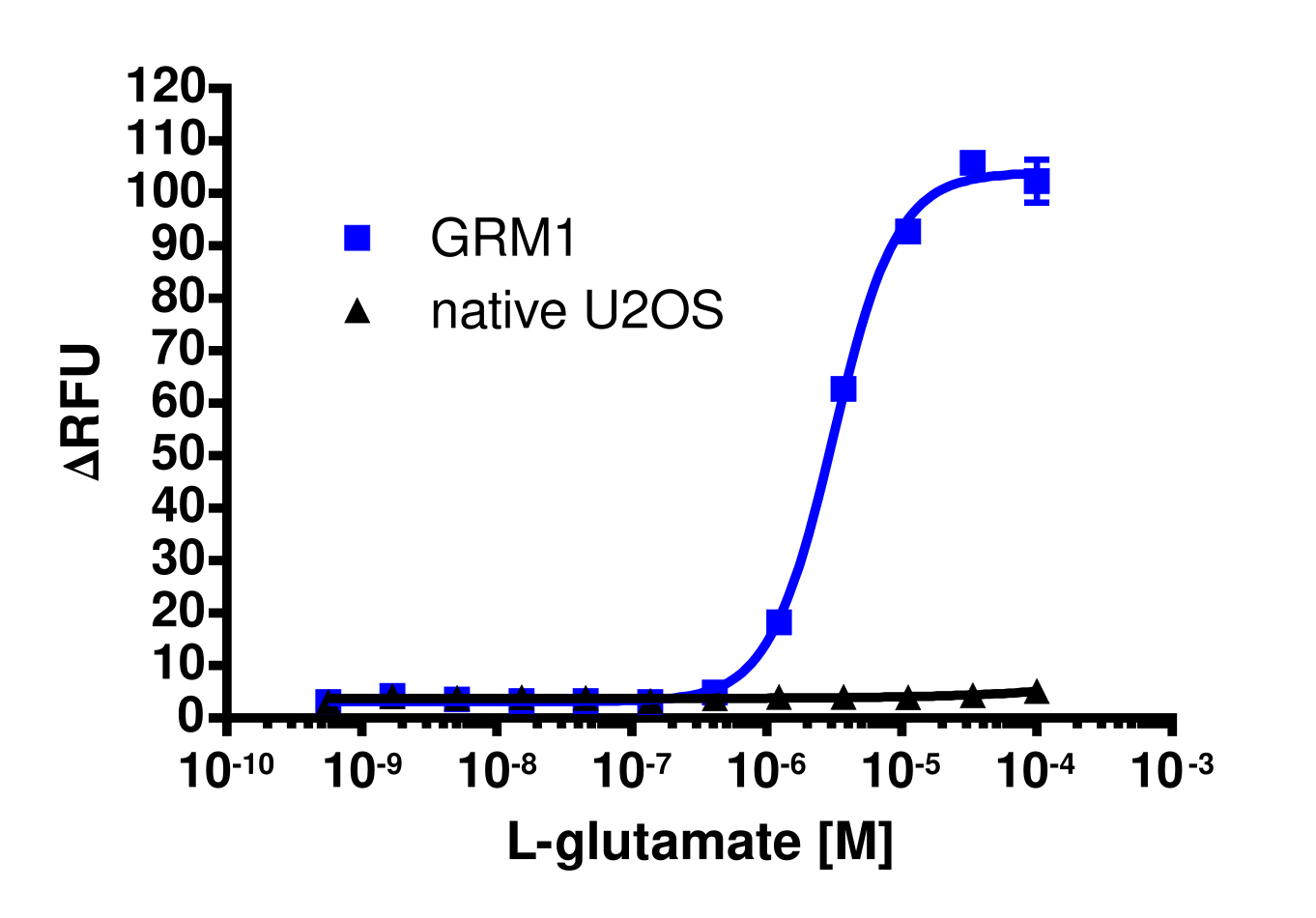 mGlu1 (GRM1) Gq Stable Cell Line Calcium Signaling Assay (U2OS)