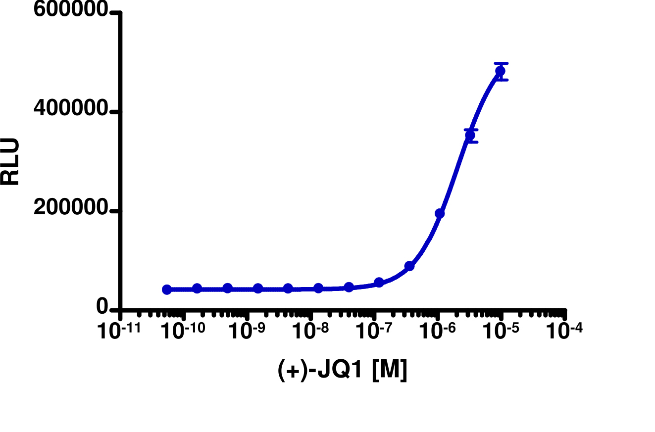 InCELL Hunter™ Human Brd2(1) Bromodomain Target Engagement Cell-Based Assay Kit (HEK 293)