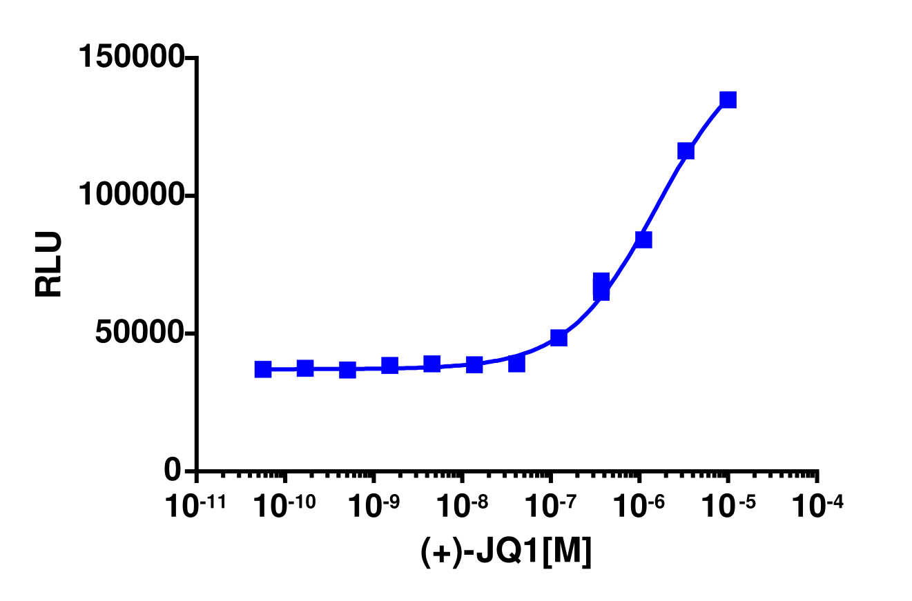 InCELL Hunter™ Human BRDT(1,2) Bromodomain Target Engagement Cell-Based Assay Kit (HEK 293)