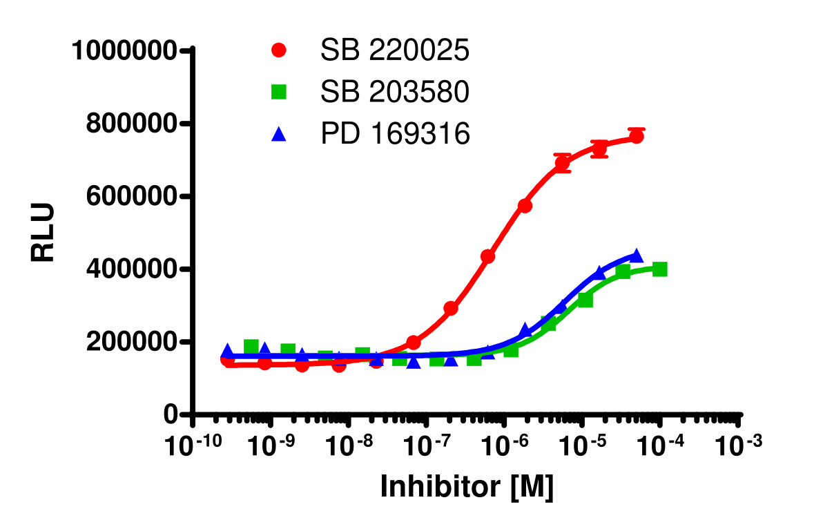 InCELL Hunter™ Human CSNK1D Kinase Target Engagement Cell-Based Assay Kit (A549)