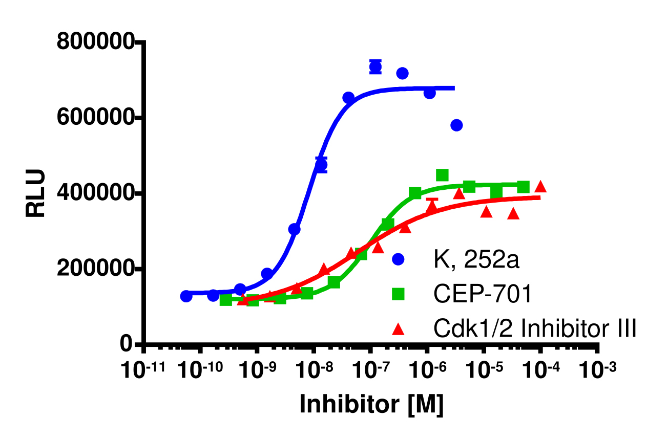 InCELL Hunter™ Human CLK1 Kinase Target Engagement Cell-Based Assay Kit (HEK 293)